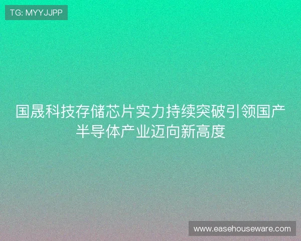 国晟科技存储芯片实力持续突破引领国产半导体产业迈向新高度